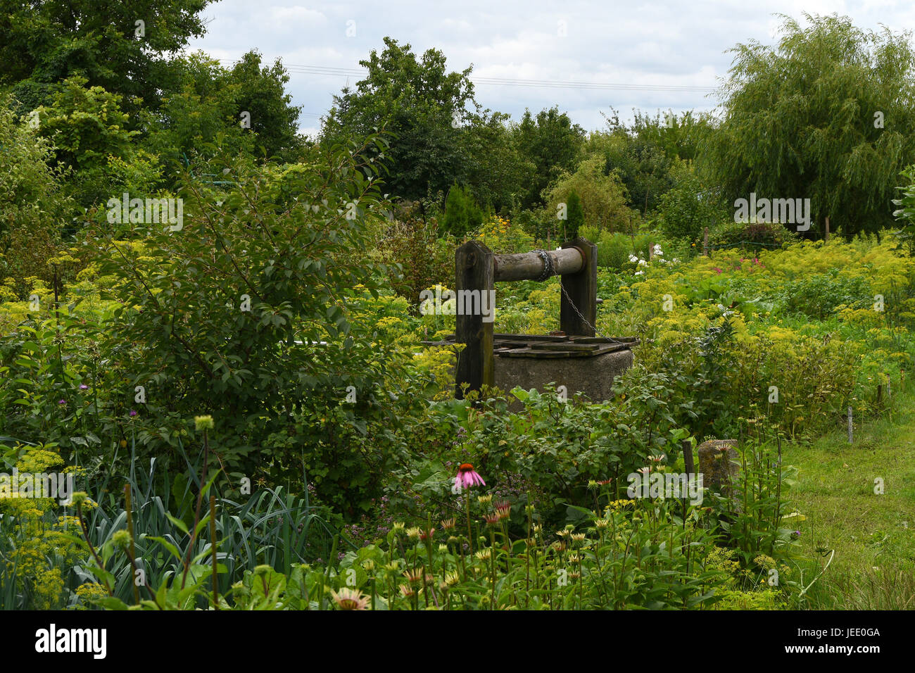 Jardin rural avec un puits. Banque D'Images
