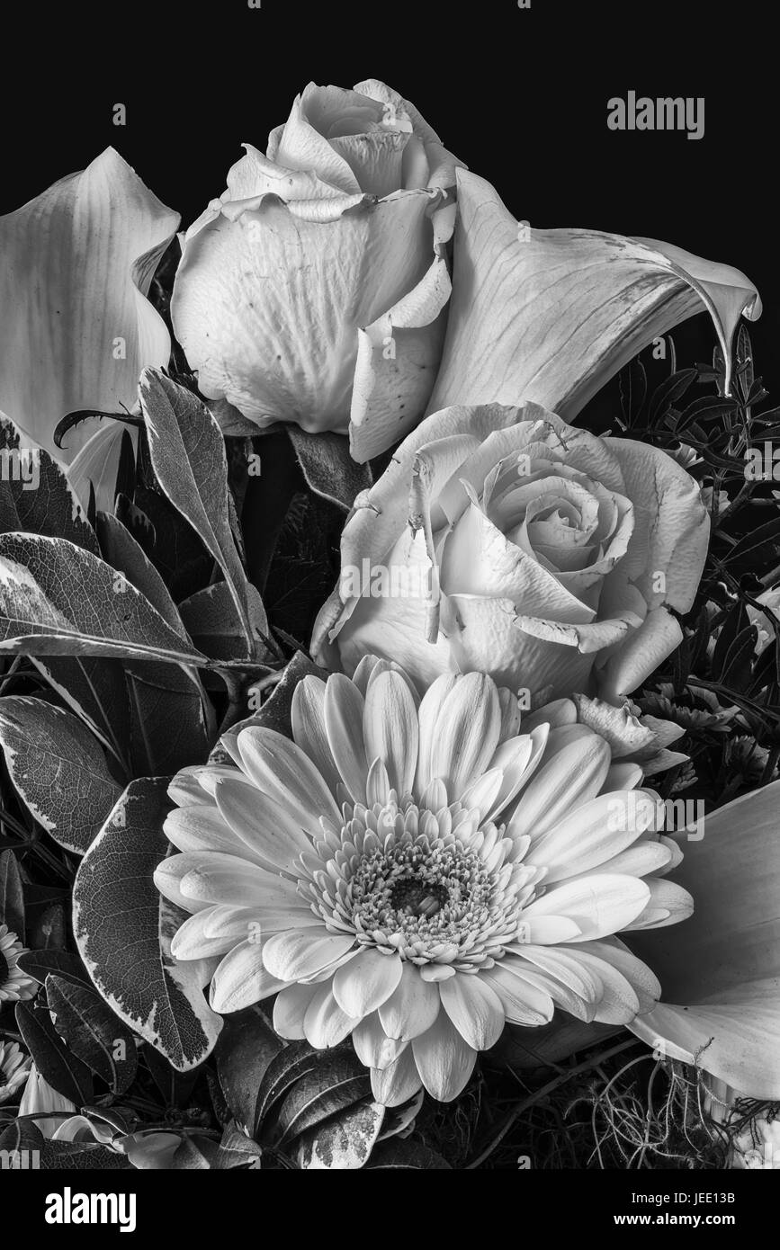 Style Vintage fine art nature morte noir et blanc monochrome floral texture macro portrait détaillé d'un bouquet de fleurs de roses, gerbera et calla Banque D'Images