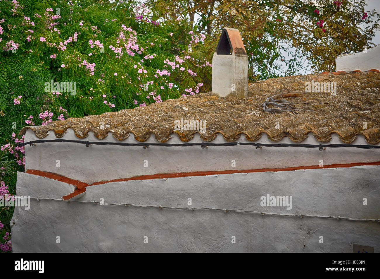 Toit et un type spécial de caniveau Banque D'Images