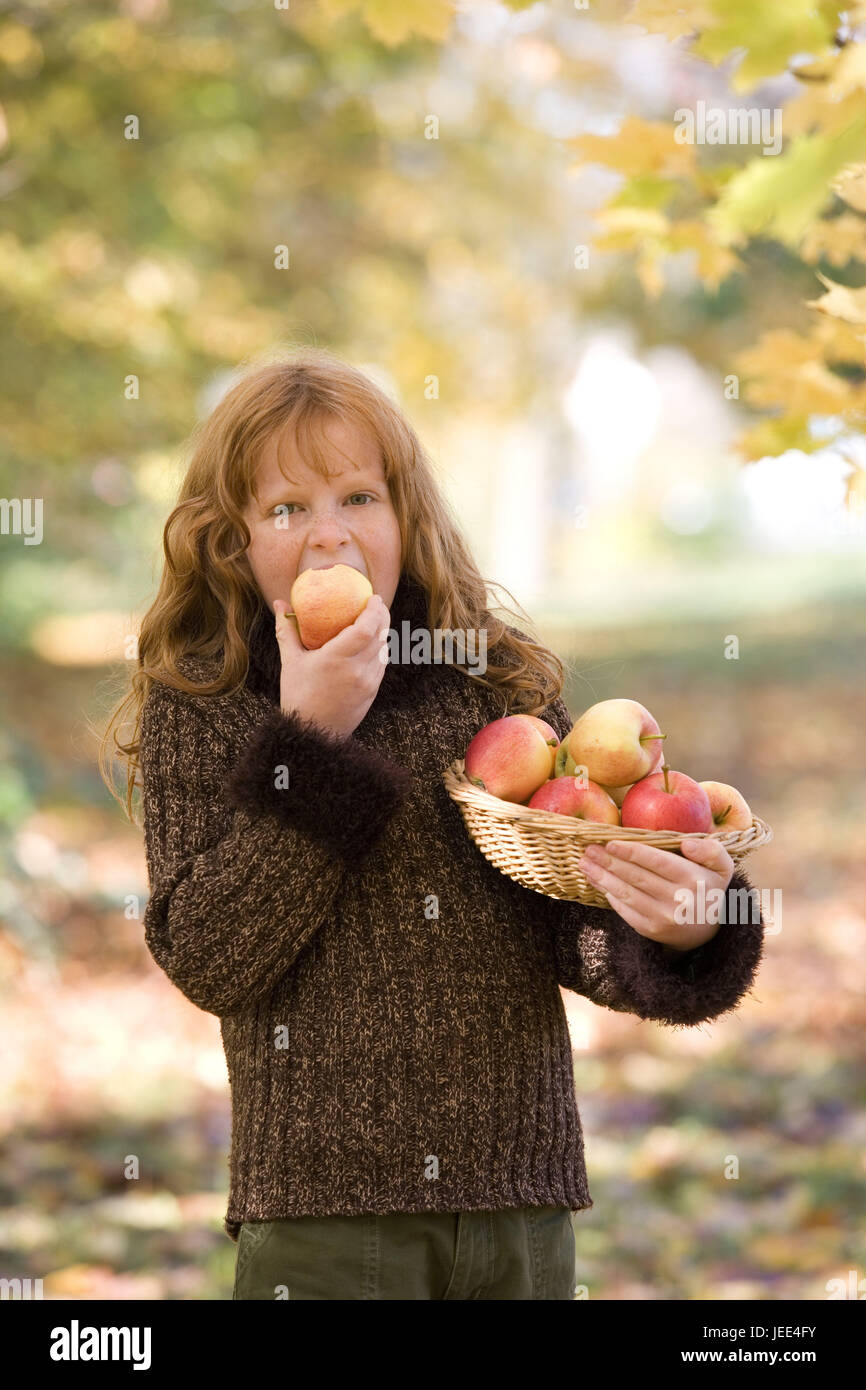 Les filles, voir l'appareil photo, apple, manger la moitié, portrait, modèle publié, enfant, personne, support, tenir la main, rousse, panier, corbeille de fruits, fruits, pommes, fraîchement, vêtements, pull, cordon, automne, saison, soleil, Portrait de l'enfant Banque D'Images