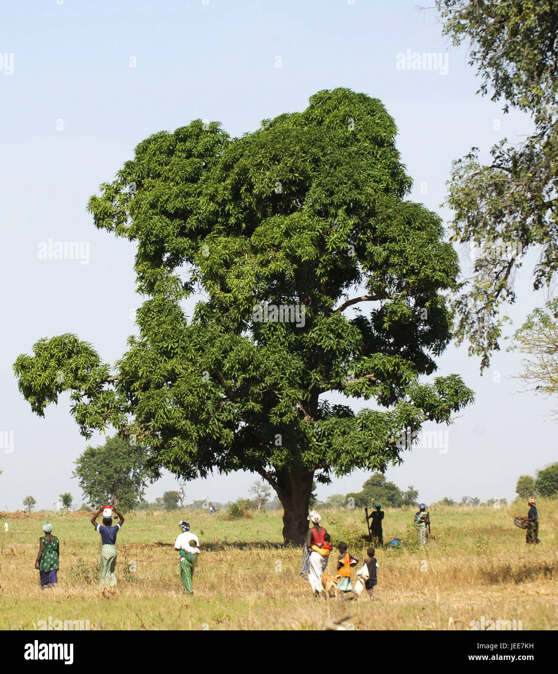 Les femmes, les enfants, le delta du Saloum, au Sénégal, Banque D'Images