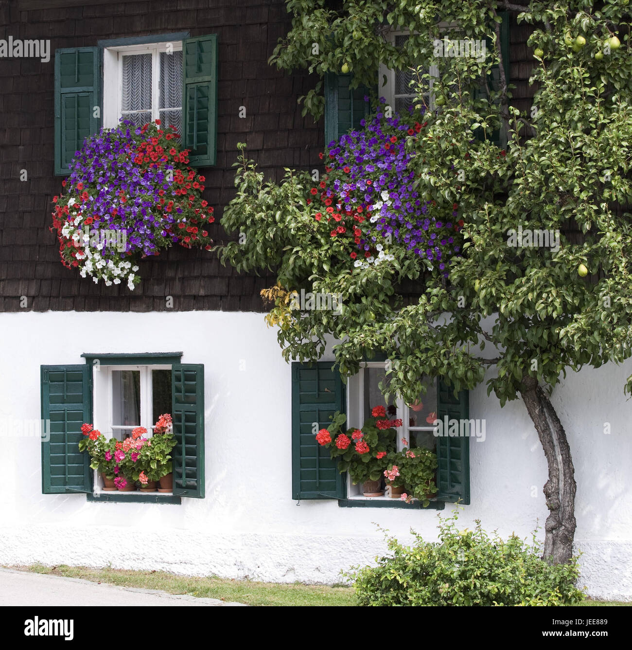 Autriche, Salzbourg, niveau région, matt lac, chambre, décoration florale, Banque D'Images