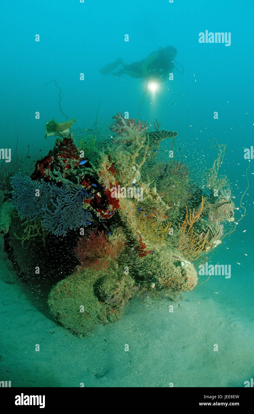 Plongeur sous-marin, le Kamikaze, en japonais, en Papouasie-Nouvelle-Guinée, Kavieng, Banque D'Images