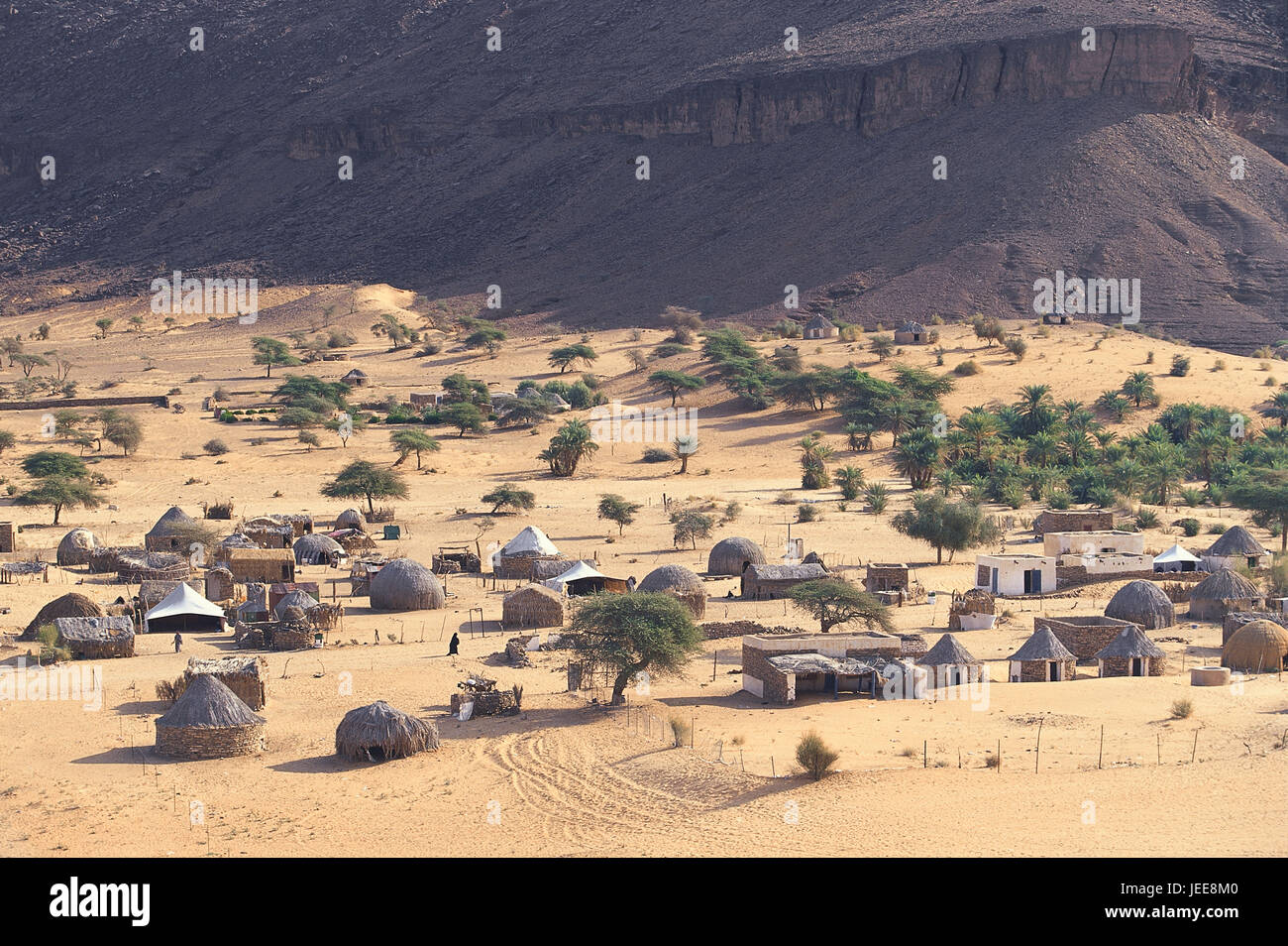 La Mauritanie, l'établissement oasis sauvages, Terjiit, Afrique, Afrique de l'Ouest, le désert, l'établissement, village, maisons, aciéries, toit de tente ronde, aciéries, acacias, arbres, Banque D'Images