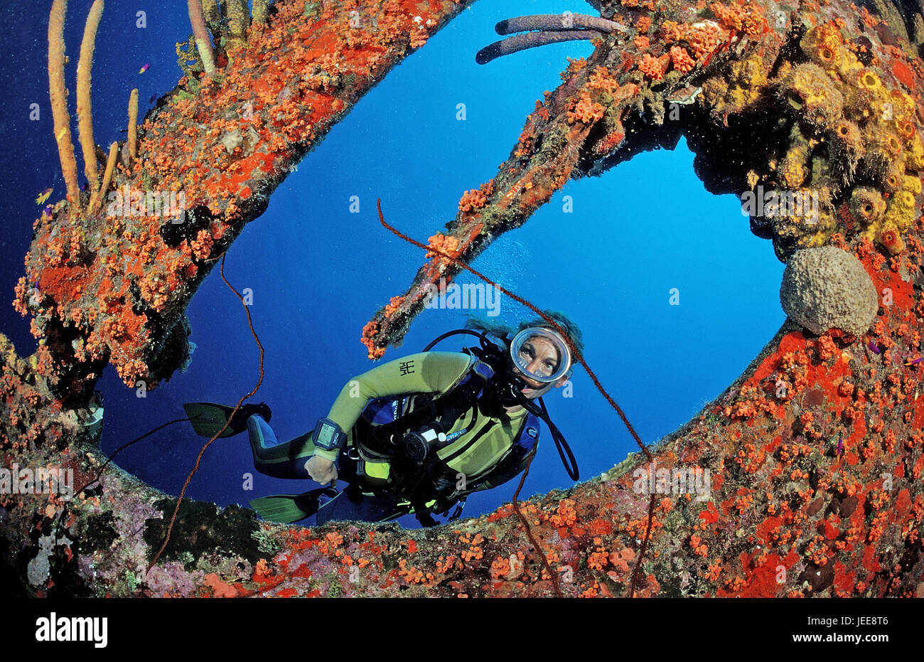 Plongeur, ship wreck 'Hilma Hooker d', les Caraïbes, Banque D'Images