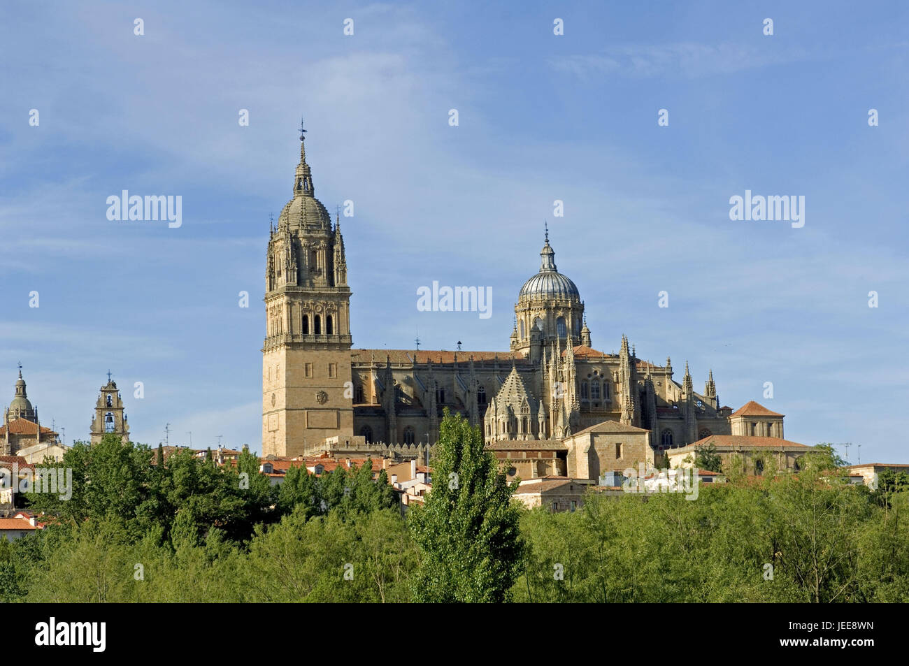 Nouvelle Cathédrale, Salamanque, Castille et Leon, Espagne, Banque D'Images