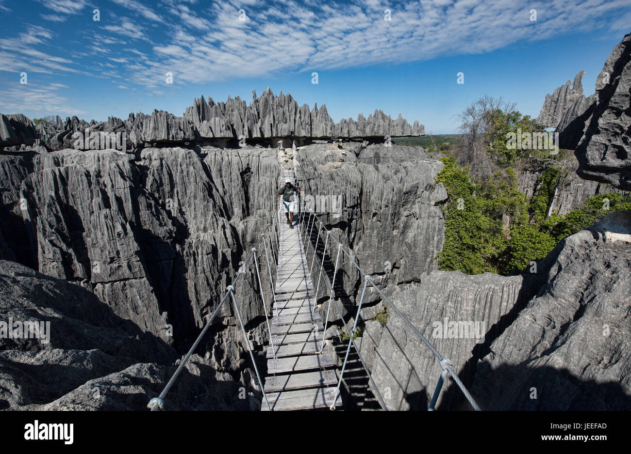 Vue du pont suspendu, le Parc National Tsingy de Bemaraha, à Madagascar Banque D'Images