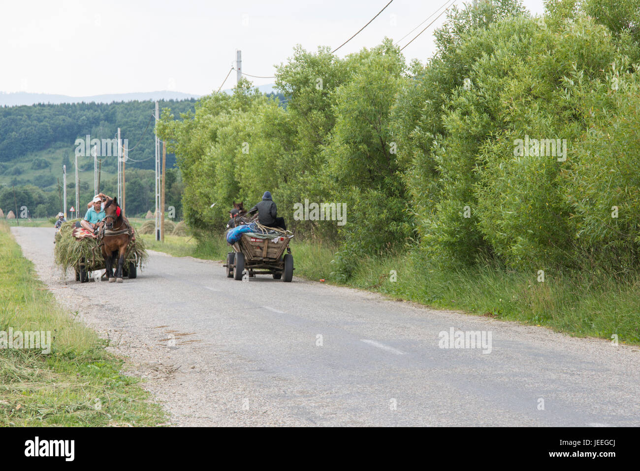 Deux wagons tirés par des chevaux traversent une route dans les Maramures région Banque D'Images