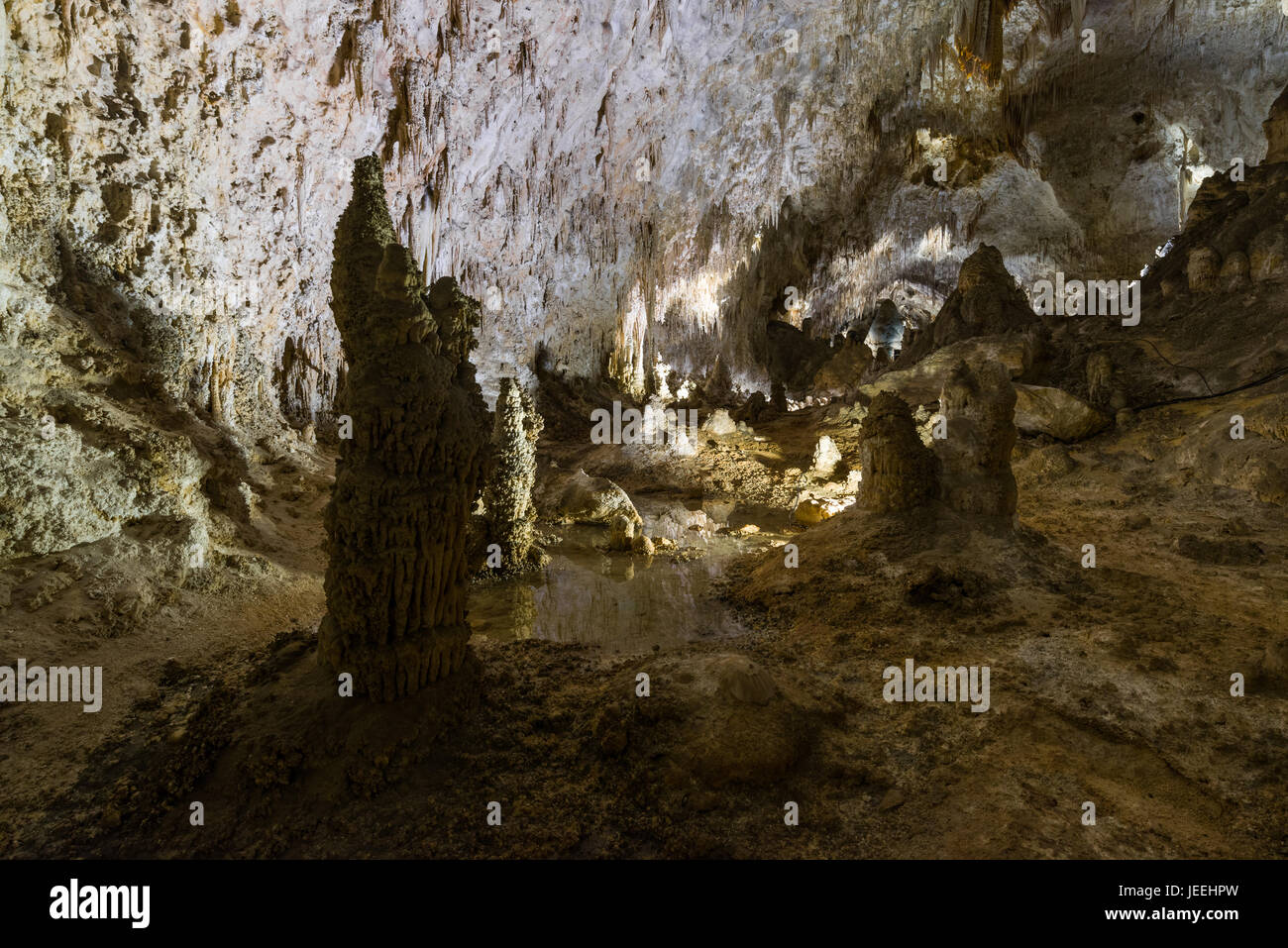 Carlsbad Caverns rock formations. Nouveau Mexique Banque D'Images