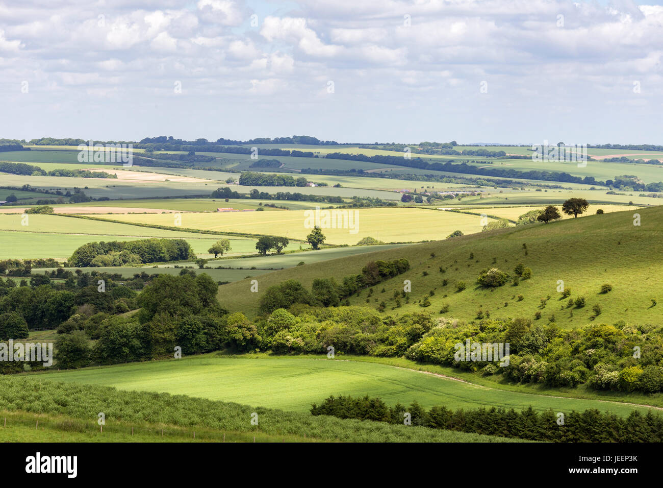 L'West Wiltshire Downs, Wiltshire, England, UK Banque D'Images