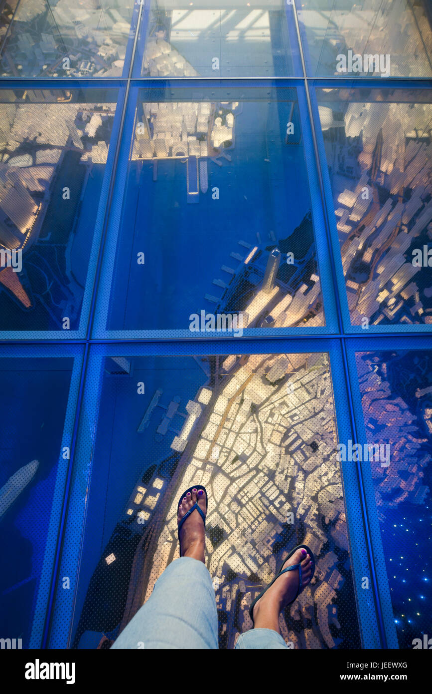Vue verticale de l'âge de l'espace entrée de Sky100 dans l'International commerce center à Hong Kong, Chine. Banque D'Images