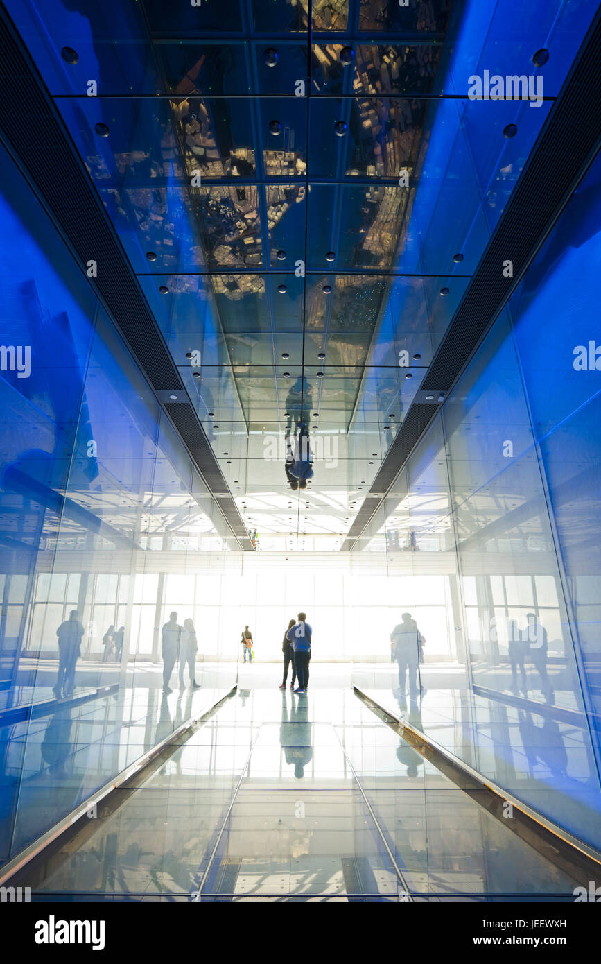 Vue verticale de l'âge de l'espace entrée de Sky100 dans l'International commerce center à Hong Kong, Chine. Banque D'Images