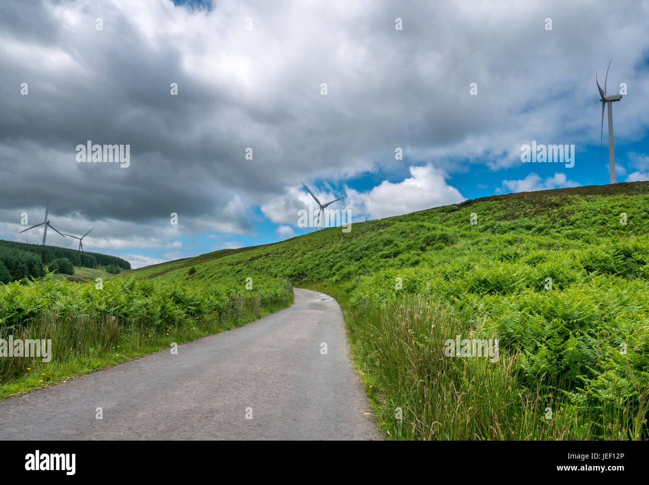 Vide à distance en route à voie unique campagne écossaise menant vers éoliennes sur une colline, Scottish Borders, Scotland, UK Banque D'Images