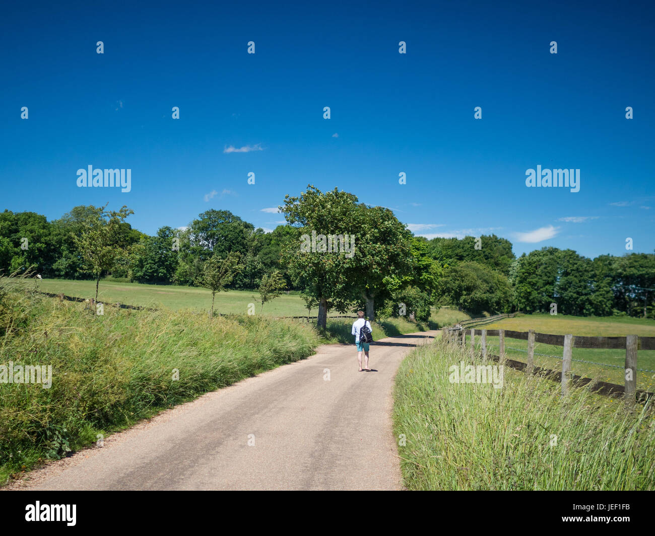 Un randonneur promenades le long Watling Street, une route romaine près de St Albans, Hertfordshire, Angleterre. Banque D'Images