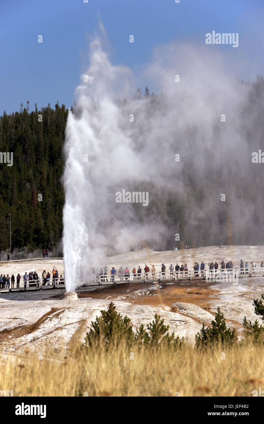 Paysages du parc national de Yellowstone, le parc national de Yellowstone Landschaft im Banque D'Images