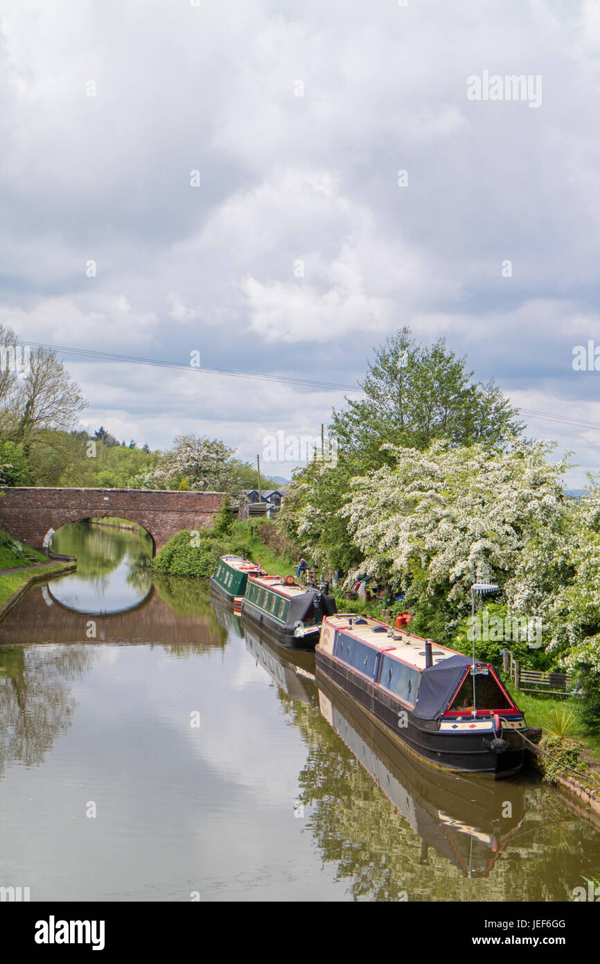 Le Worcester et Birmingham Canal à Tardebigge, Worcestershire, Angleterre, RU Banque D'Images