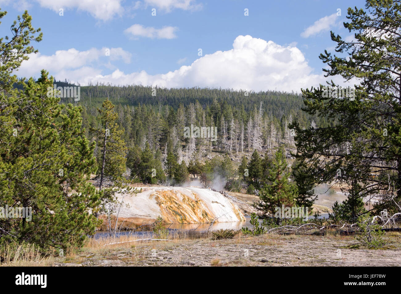 L'admission dans le parc national de Yellowstone, dans l'Utah, aux Etats-Unis, en octobre., Aufnahme im Nationalpark Yellowstone, USA, im Oktober. Banque D'Images