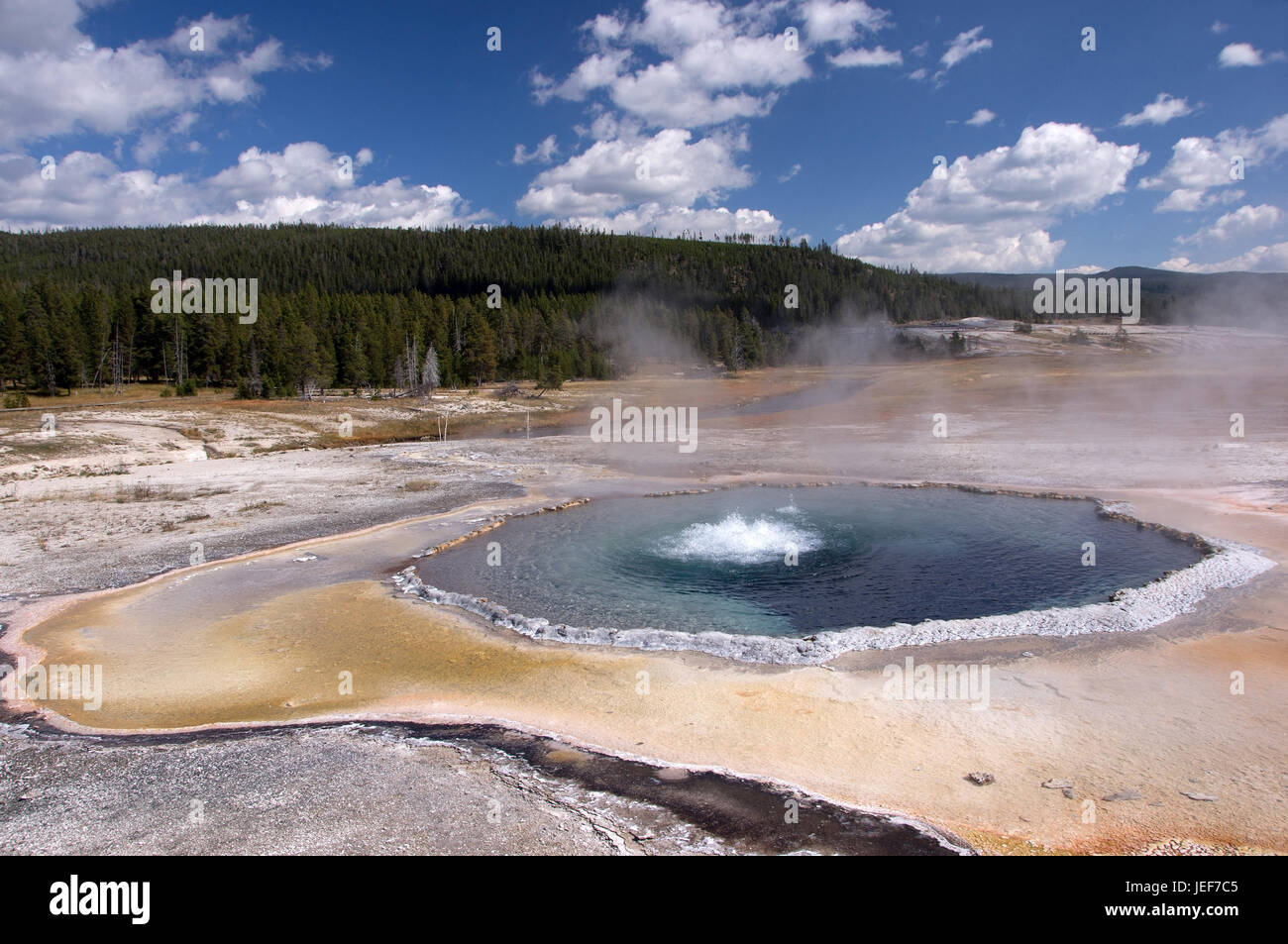 L'admission dans le parc national de Yellowstone, dans l'Utah, aux Etats-Unis, en octobre., Aufnahme im Nationalpark Yellowstone, USA, im Oktober. Banque D'Images