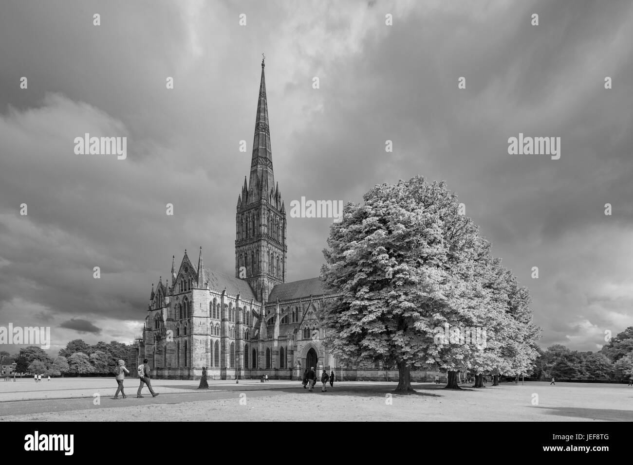 La cathédrale de Salisbury, Wiltshire, Angleterre, Royaume-Uni Banque D'Images