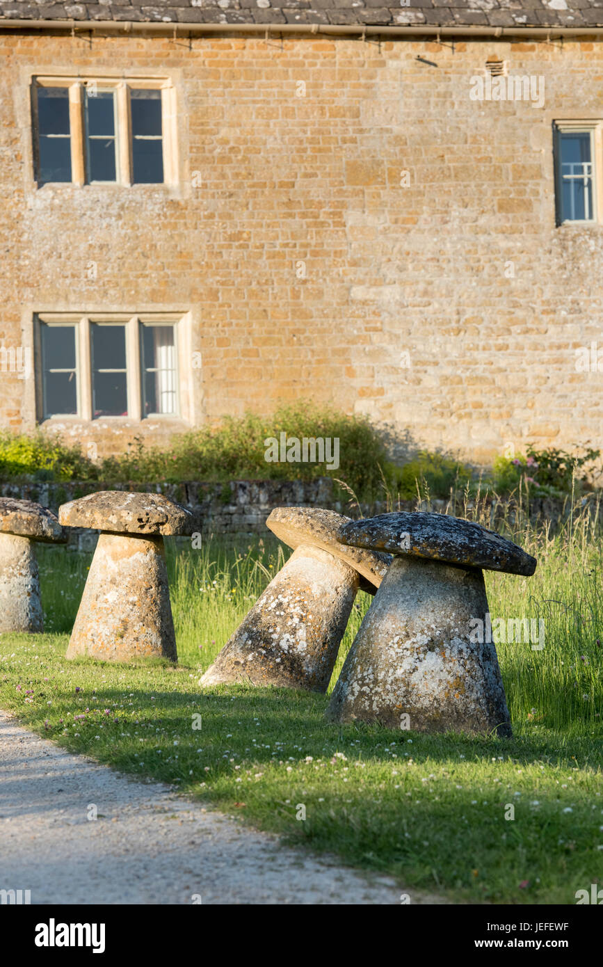 Staddle stones à l'extérieur d'une maison du village de Wyck Rissington en fin de soirée soleil juin. Cotswolds, Gloucestershire, Angleterre Banque D'Images