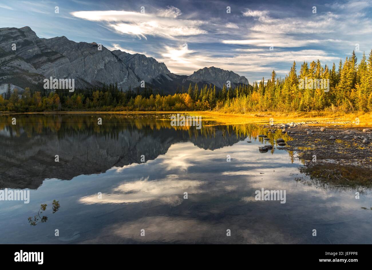 Changer les couleurs de l'automne dans le parc provincial de Bow Valley au pied des montagnes Rocheuses, Alberta Canada Banque D'Images