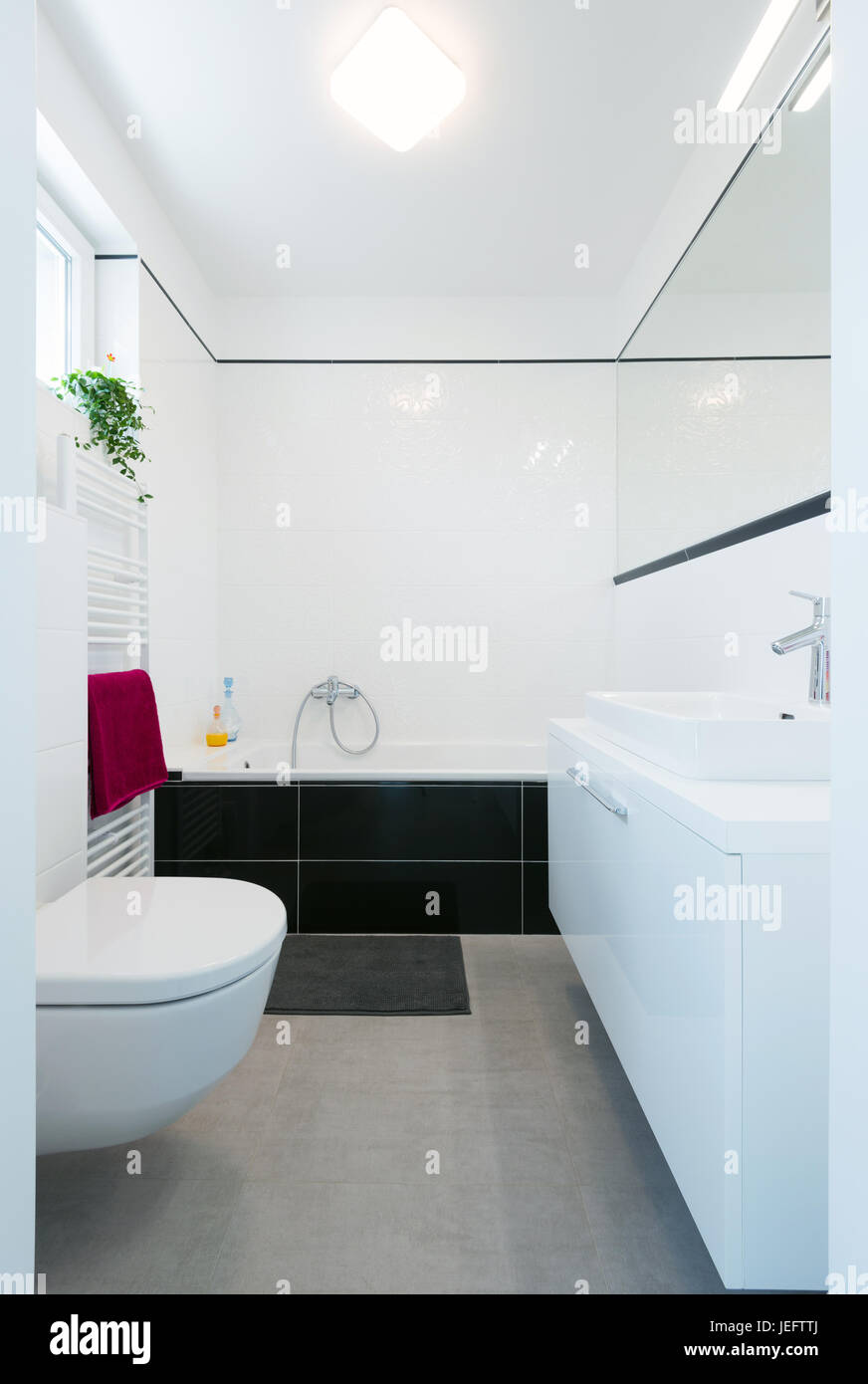 Intérieur salle de bains in modern house Banque D'Images