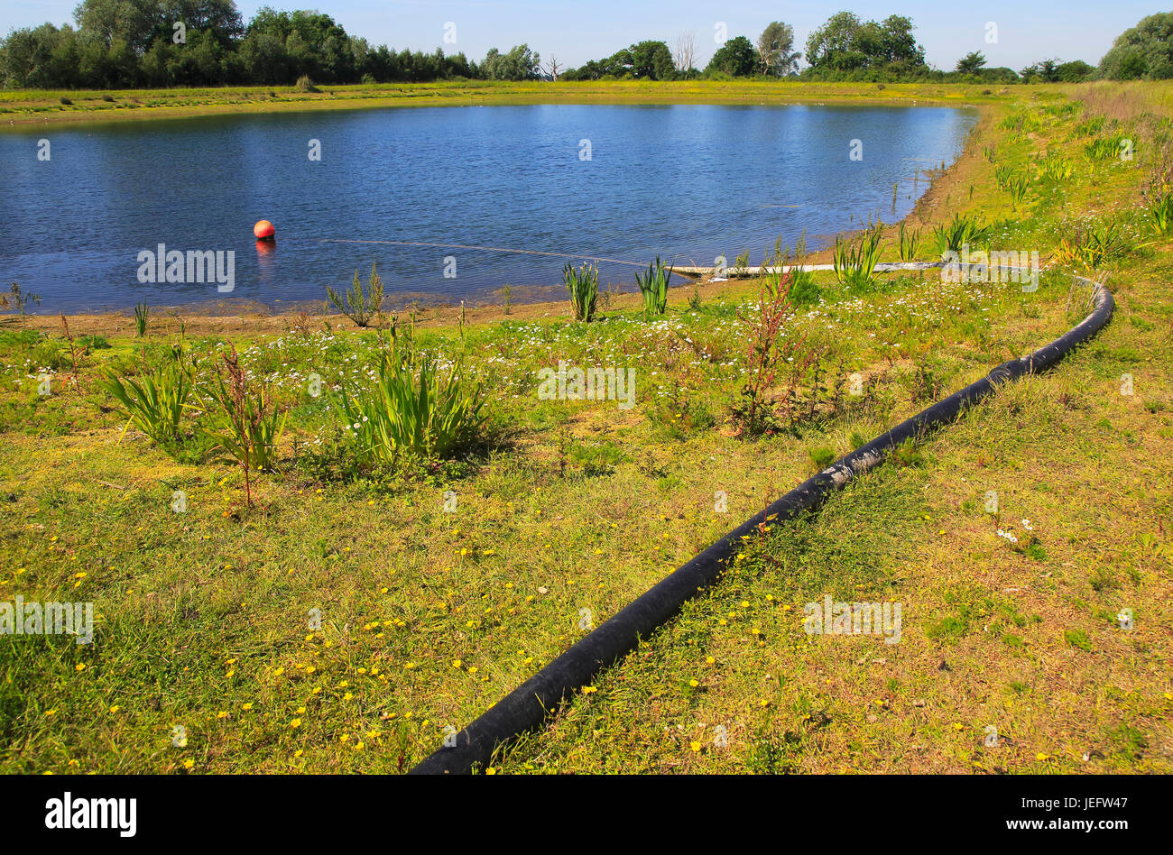 Tuyau relié à l'eau du lac d'irrigation agricole, Sutton, Suffolk, Angleterre, RU Banque D'Images