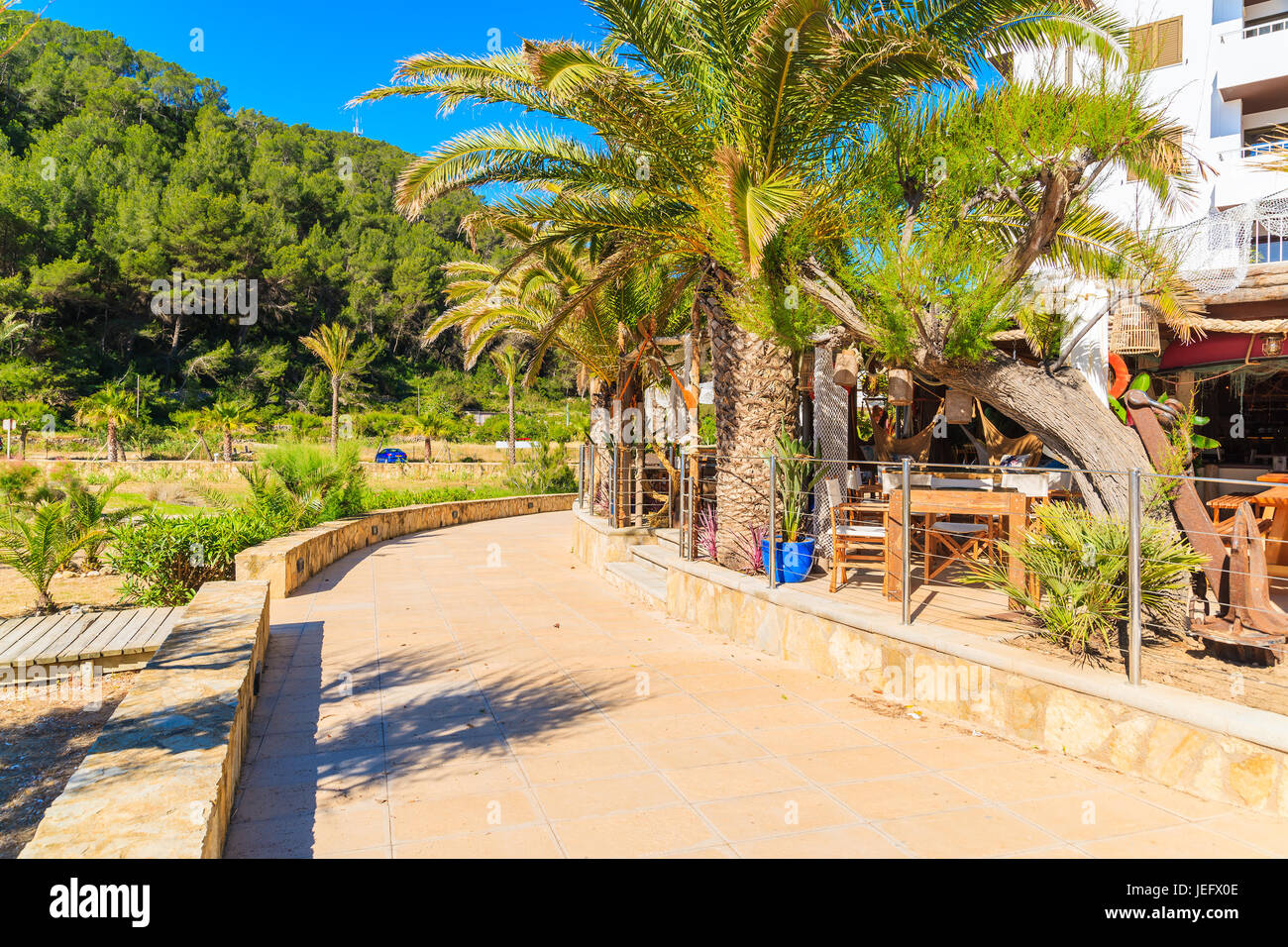Palmiers sur la promenade le long du littoral de sable de Cala San Vicente bay aux beaux jours de l'été, l'île d'Ibiza, Espagne Banque D'Images