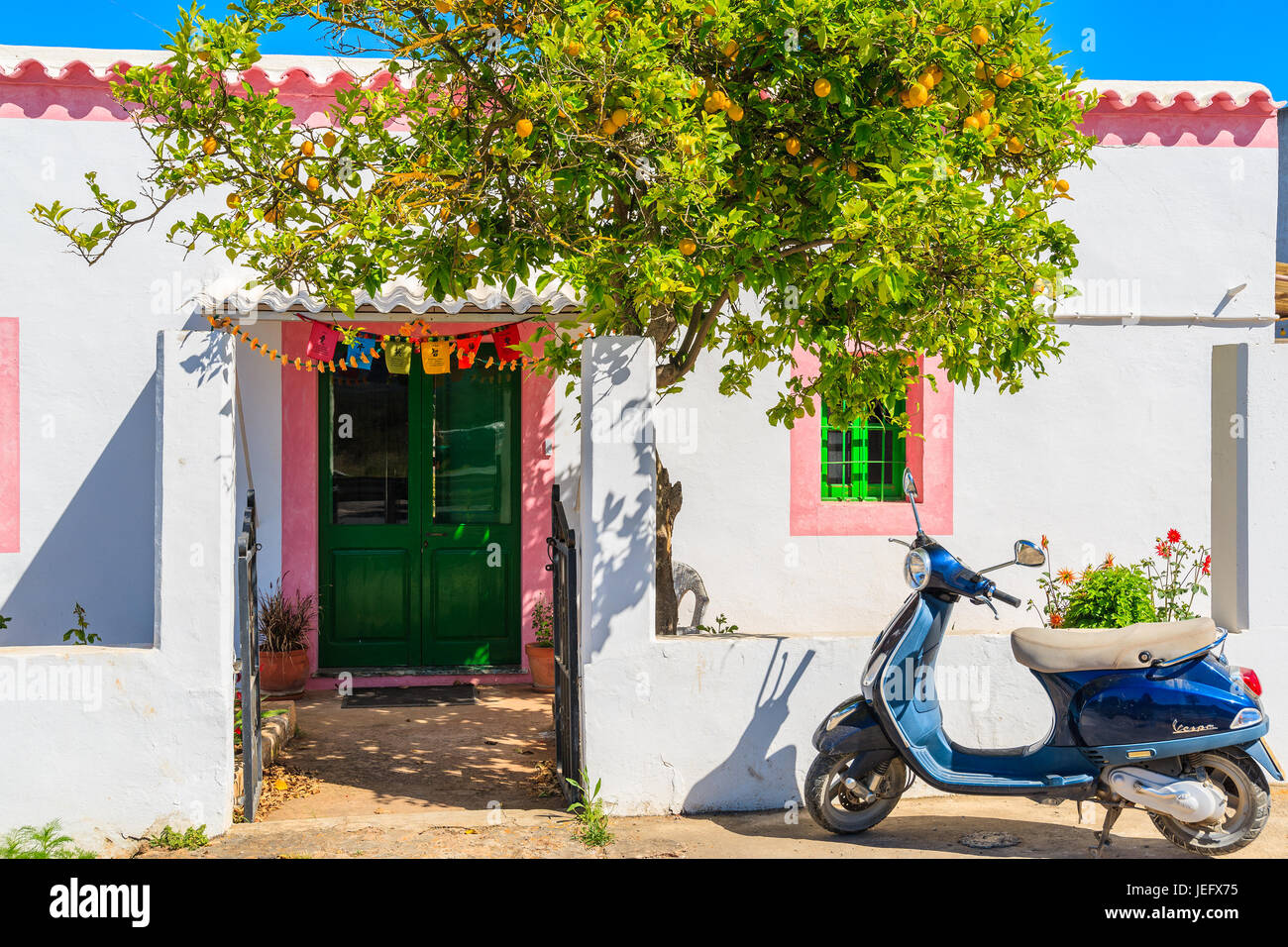 L'île d'Ibiza, ESPAGNE - 20 MAI 2017 : classic Vespa scooter gratuit sous citronnier et housein blanc traditionnel village Sant Carles de Peralta, Ibiza Banque D'Images