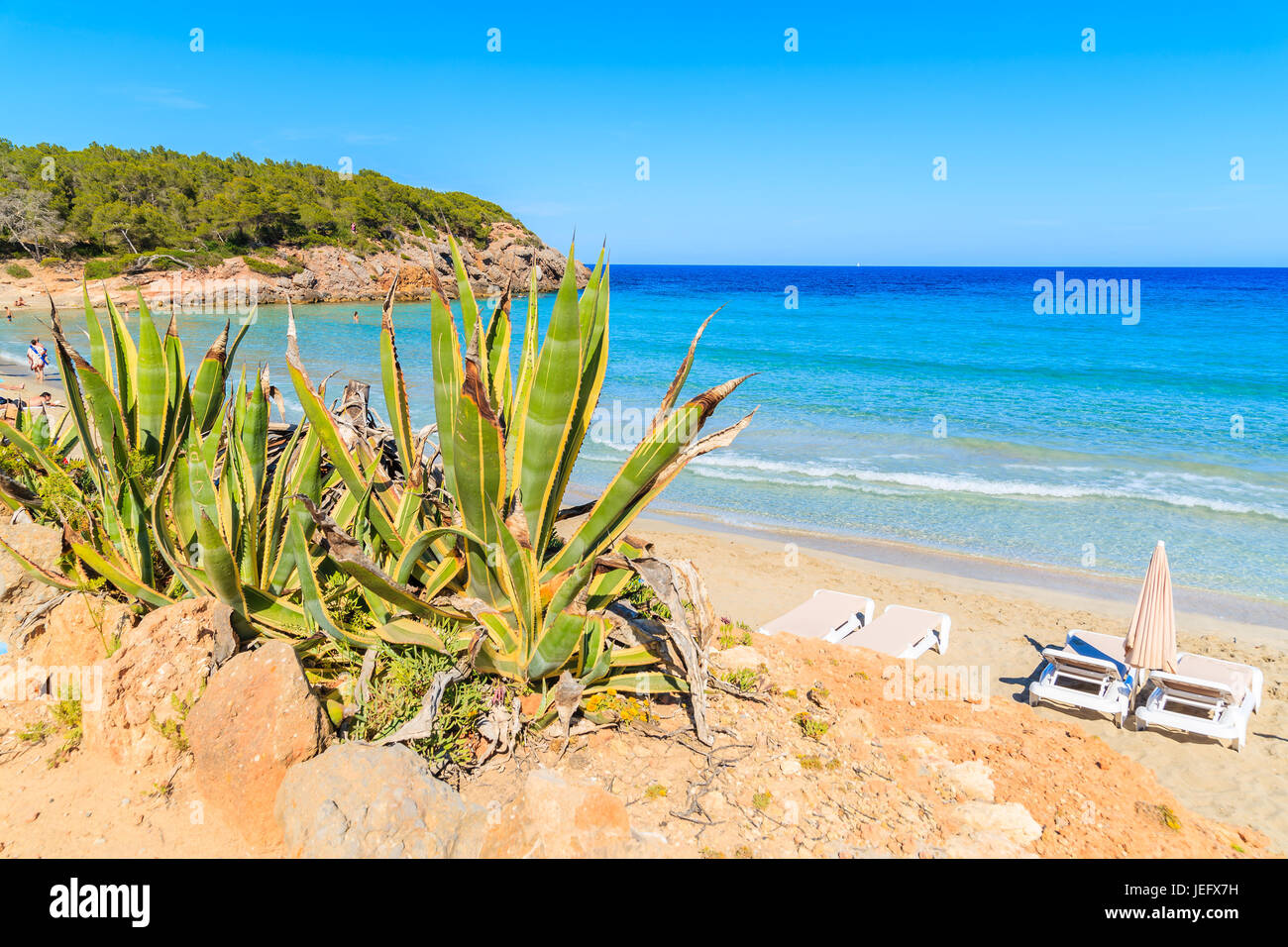 Vue de la plage de Cala Nova aux beaux jours de l'été, l'île d'Ibiza, Espagne Banque D'Images