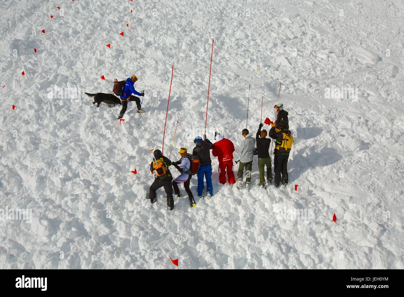 Recherche de Avalanch Banque D'Images