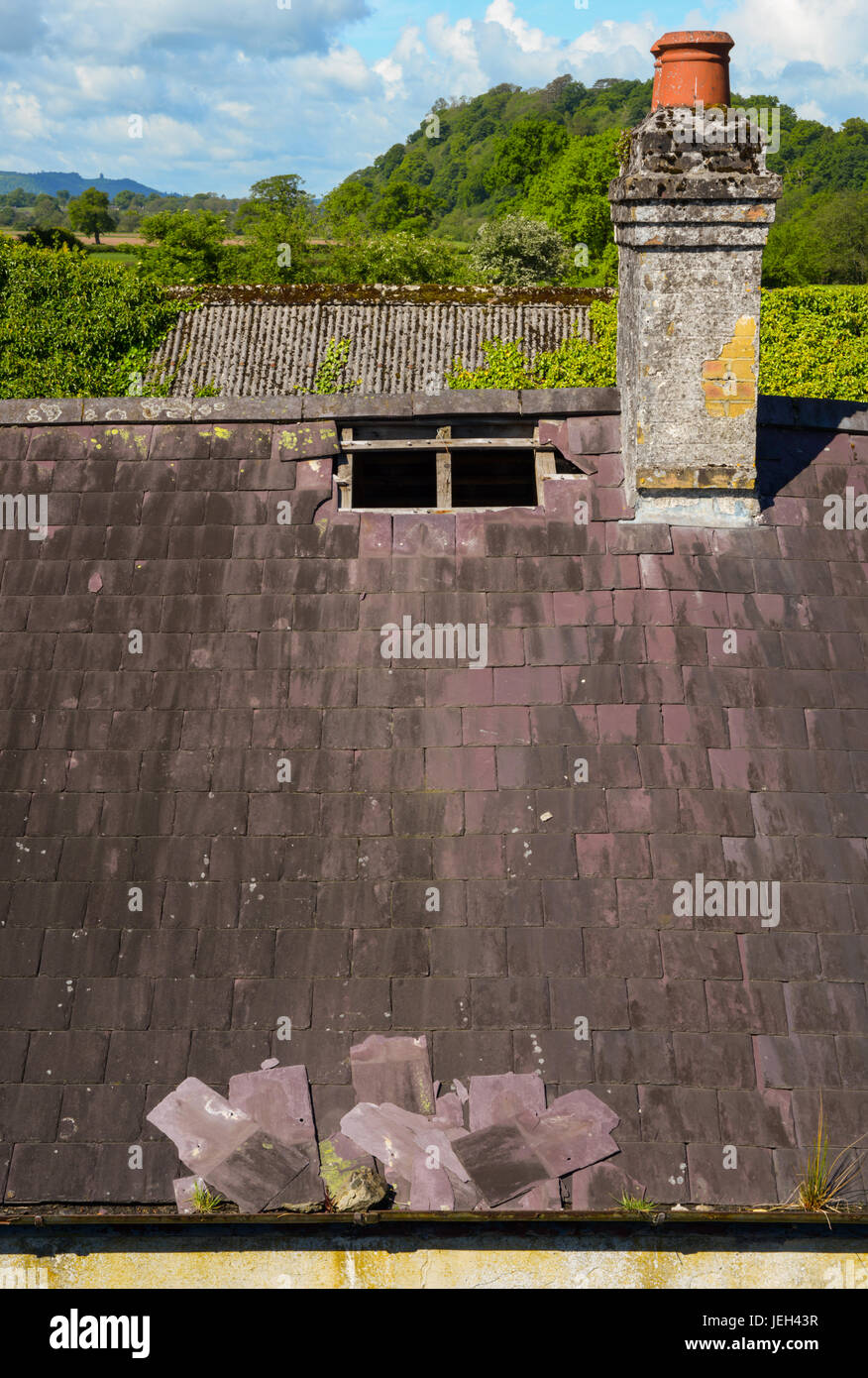 Les ardoises de toiture délogés pris dans des gouttières de quitter le trou du toit. Banque D'Images