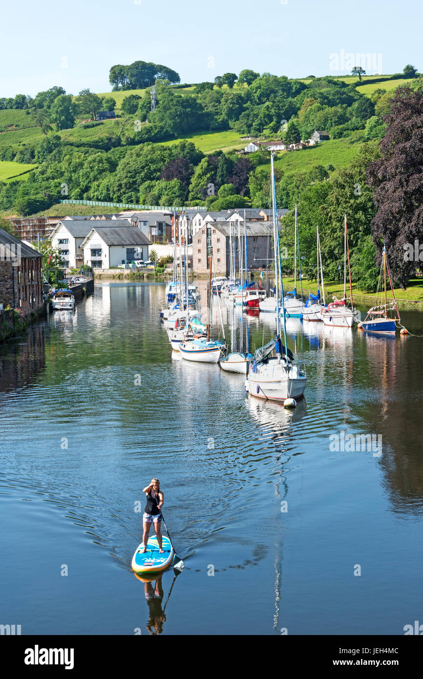 La rivière dart qui traverse la ville de totnes dans le Devon, Angleterre, Grande-Bretagne, Royaume-Uni. Banque D'Images