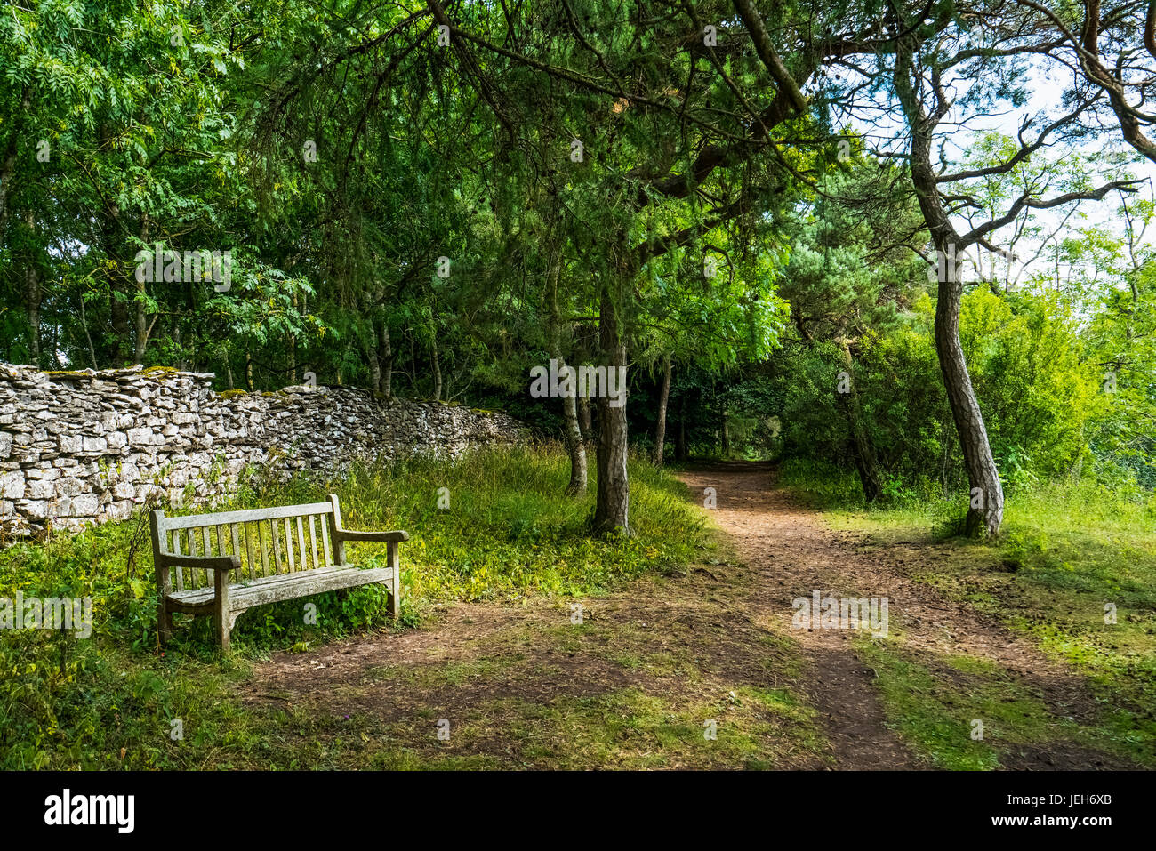 Un banc assis à côté d'un chemin menant à travers une forêt luxuriante ; Leyburn, North Yorkshire, Angleterre Banque D'Images