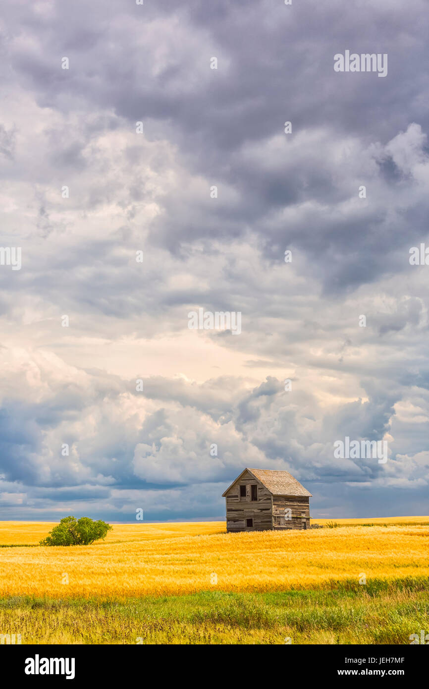 Bâtiment abandonné le long des routes rurales de la Saskatchewan ; Saskatchewan, Canada Banque D'Images