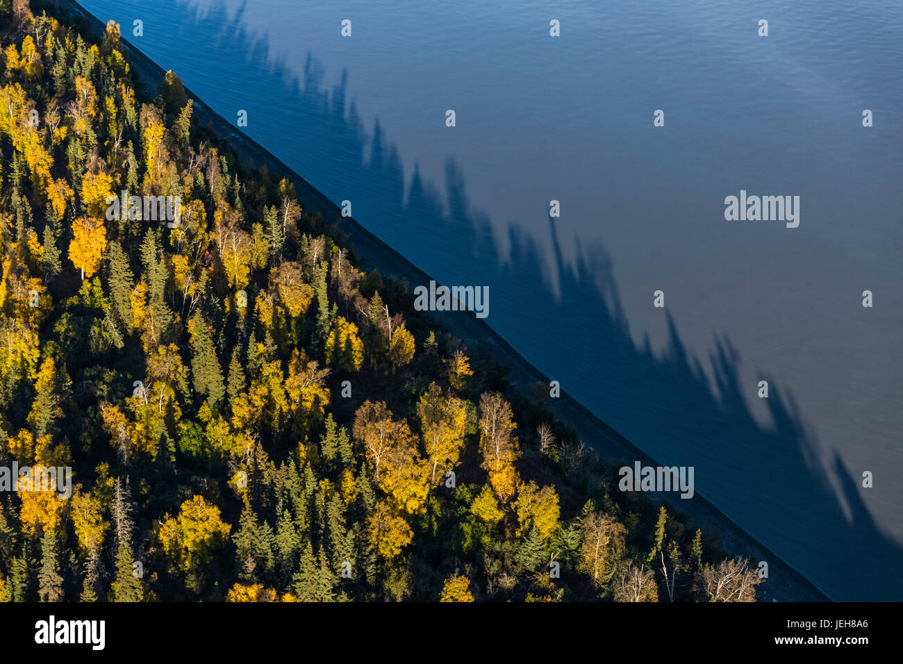 Vue aérienne de la rive de Cook Inlet arbres de rencontre bordant la plage à point Mackenzie en automne, soleil nocturne à faible angle Casting de longues ombres ACR... Banque D'Images