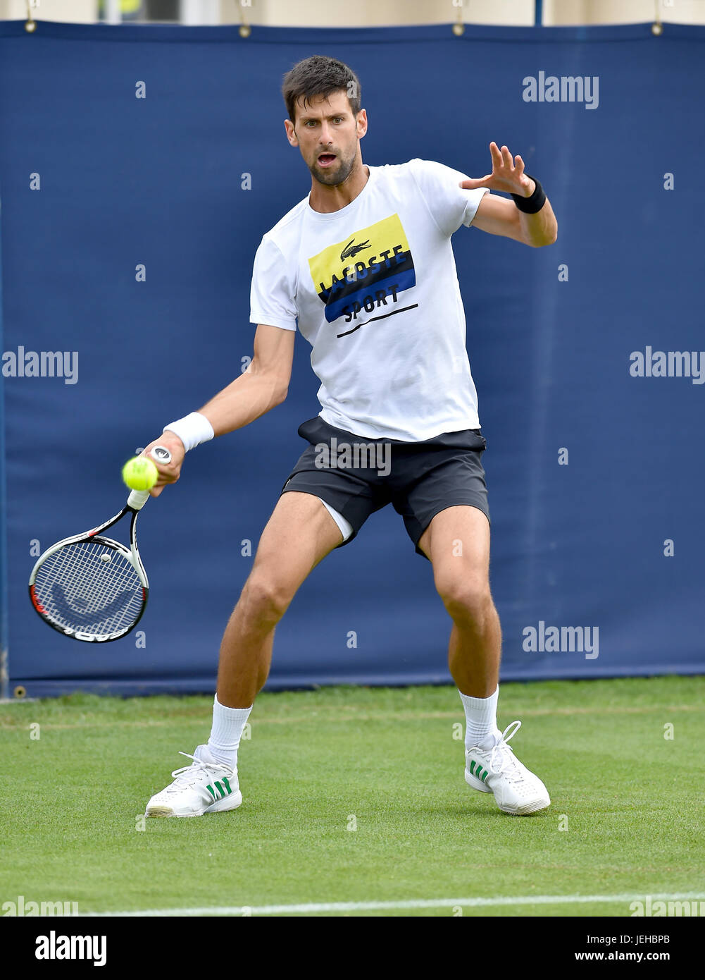 Novac Djokovic pratiquant à l'Aegon le tournoi international de tennis du Devonshire Park à Eastbourne East Sussex UK. 25 Juin 2017 Banque D'Images