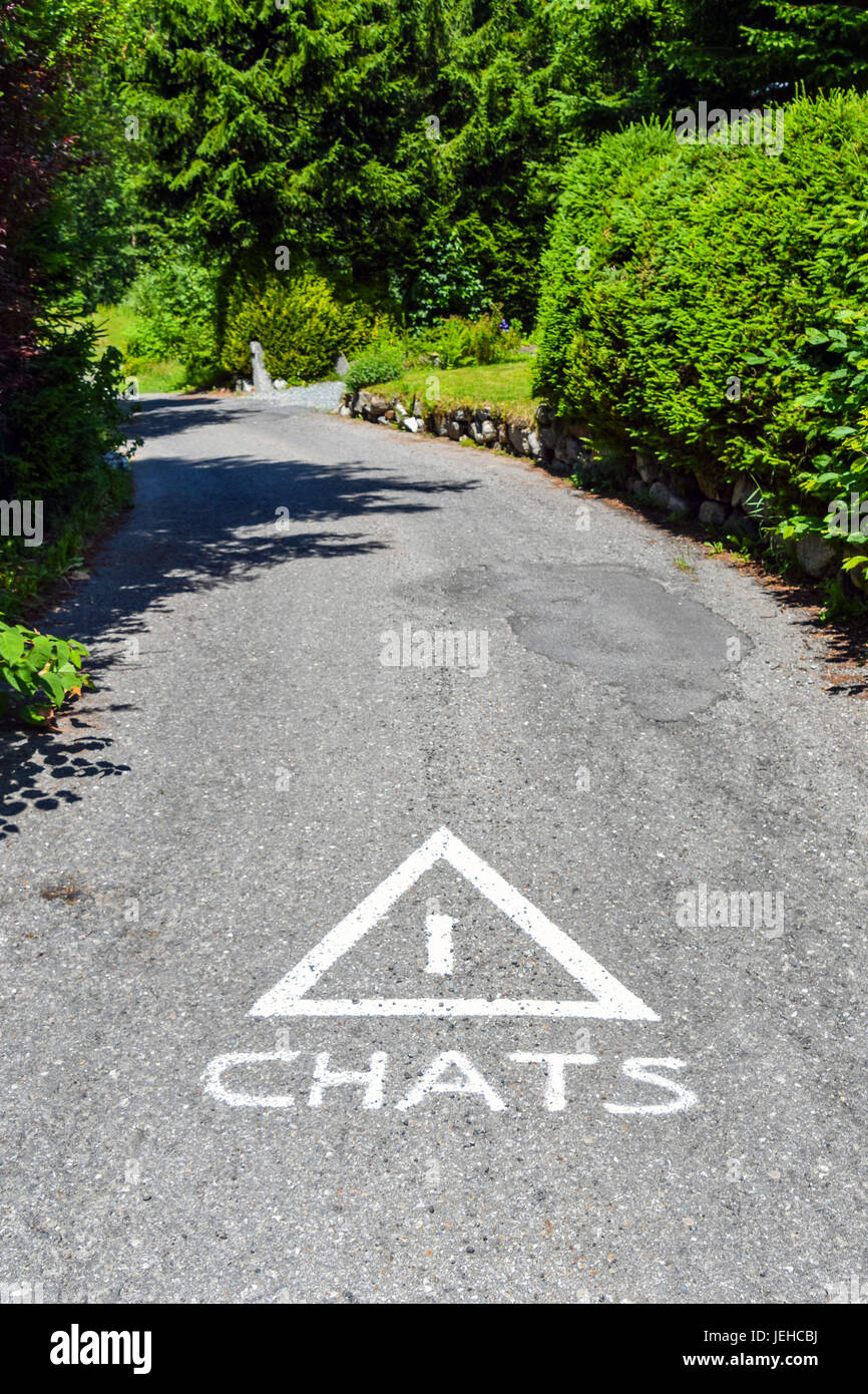 Chats Chats warning sign on road, Chamonix, France Banque D'Images