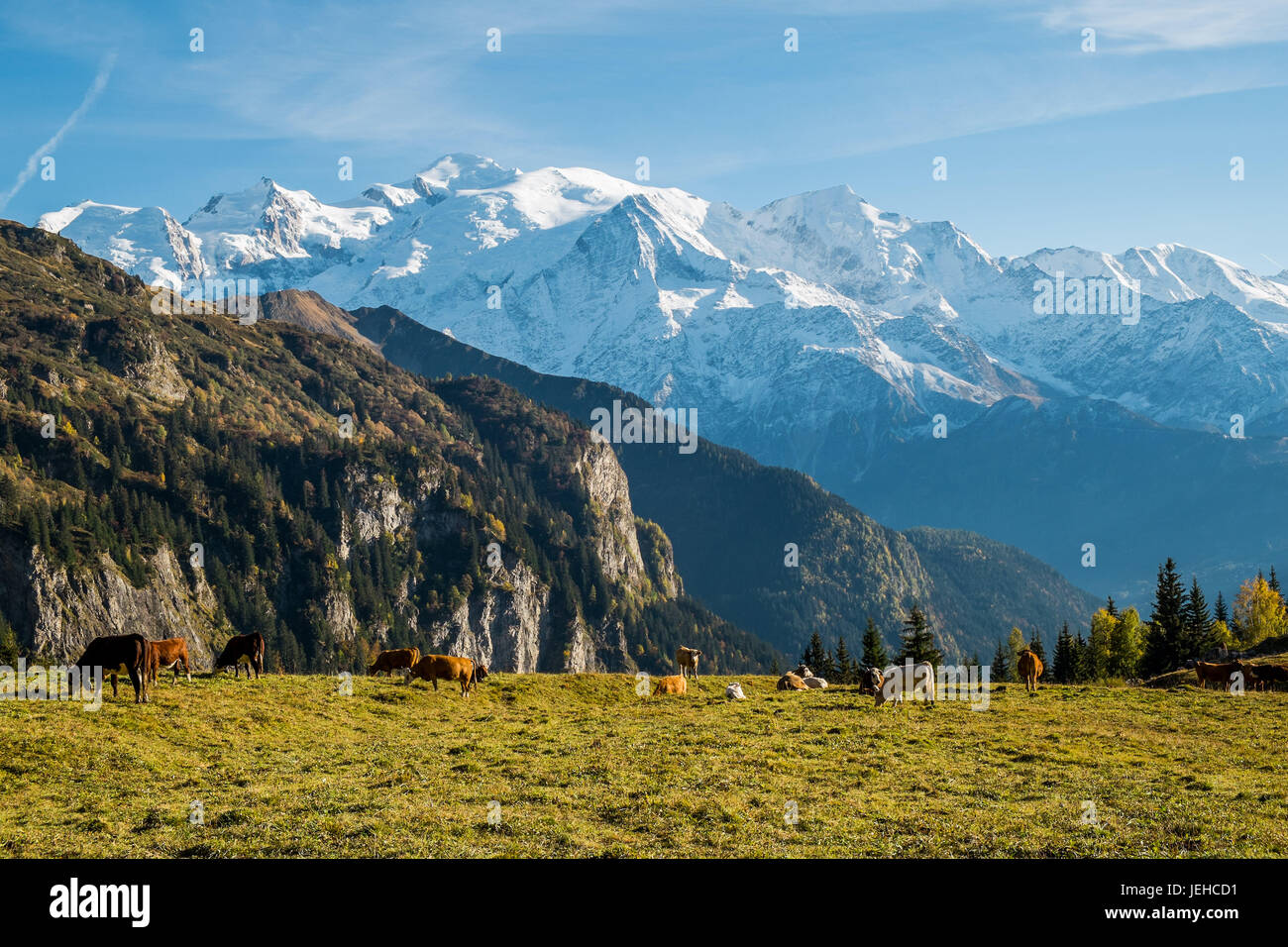 Vue sur le Mont Blanc à partir de la Pleine Joux, Chamonix, France Banque D'Images