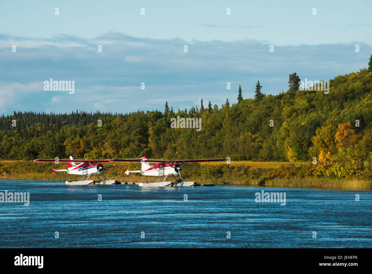 Une paire d'un hydravion Beaver de Havilland amarré le long de la rivière Kvichak dans la région de Bristol Bay, sud-ouest de l'Alaska. Banque D'Images