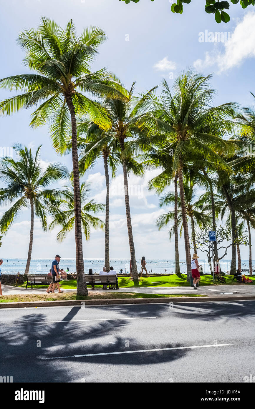 Les touristes se promenant dans la rue avec des palmiers et une vue sur l'océan en arrière-plan ; Honolulu, Oahu, Hawaii, United States of America Banque D'Images