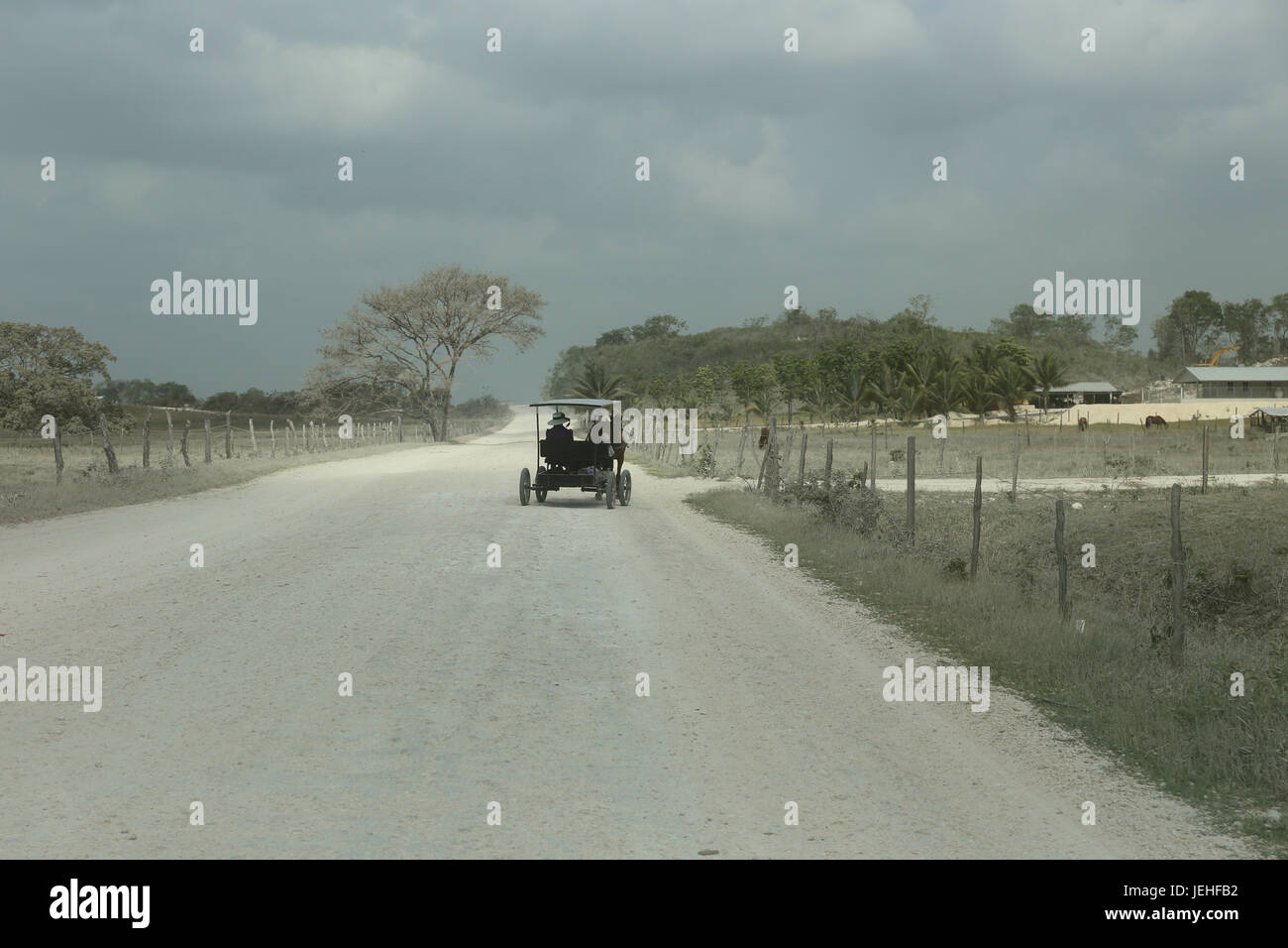 Les Mennonites du Belize Banque D'Images