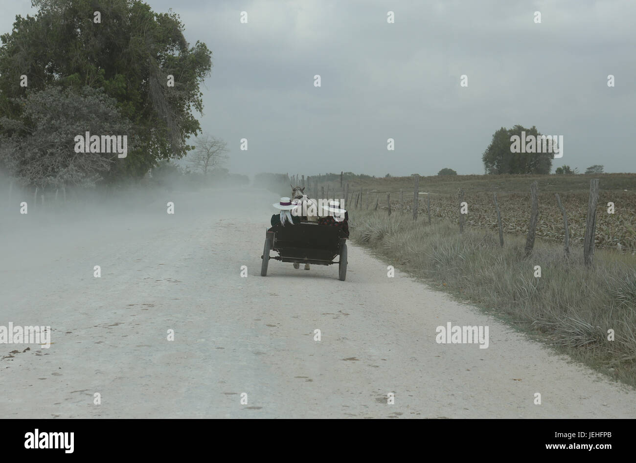 Les Mennonites du Belize Banque D'Images