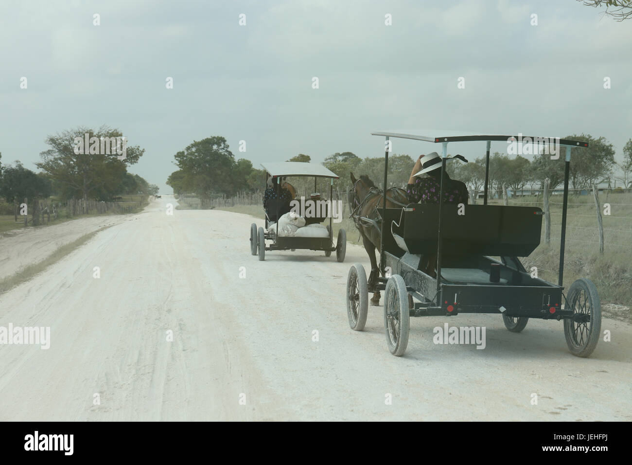 Les Mennonites du Belize Banque D'Images