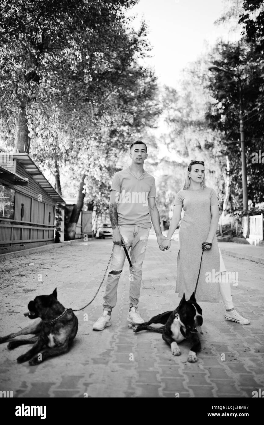 Couple dans l'amour avec deux chiens pit-bull terrier, lors d'une promenade. Banque D'Images