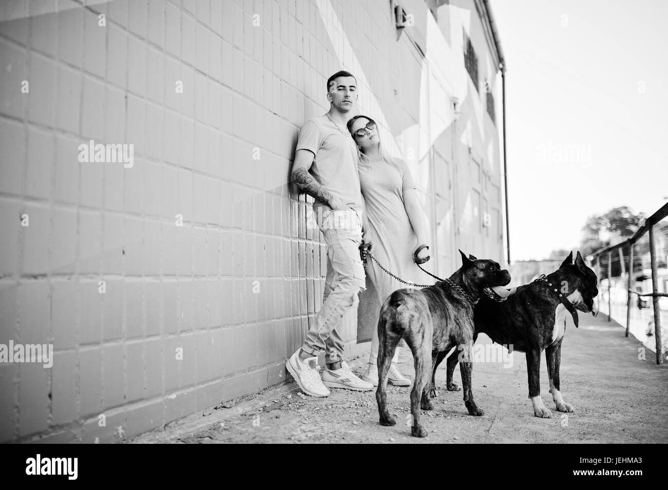 Couple dans l'amour avec deux chiens pit-bull terrier, lors d'une promenade. Banque D'Images