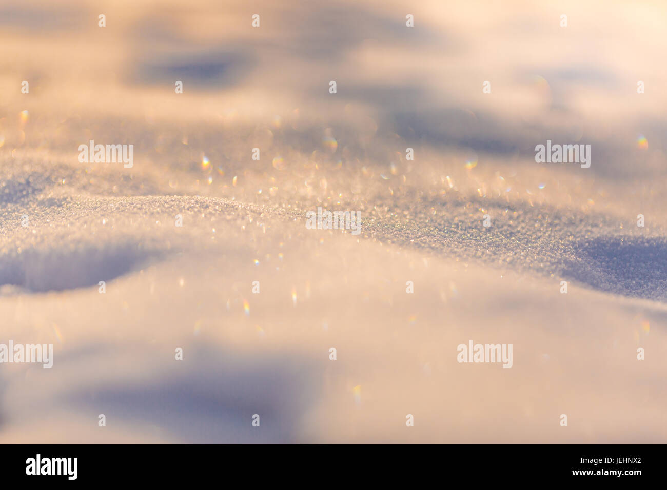 Neige brillant au soleil. Photo de saison calme, gros plan d'hiver avec l'arrière-plan arrière-plan flou Banque D'Images