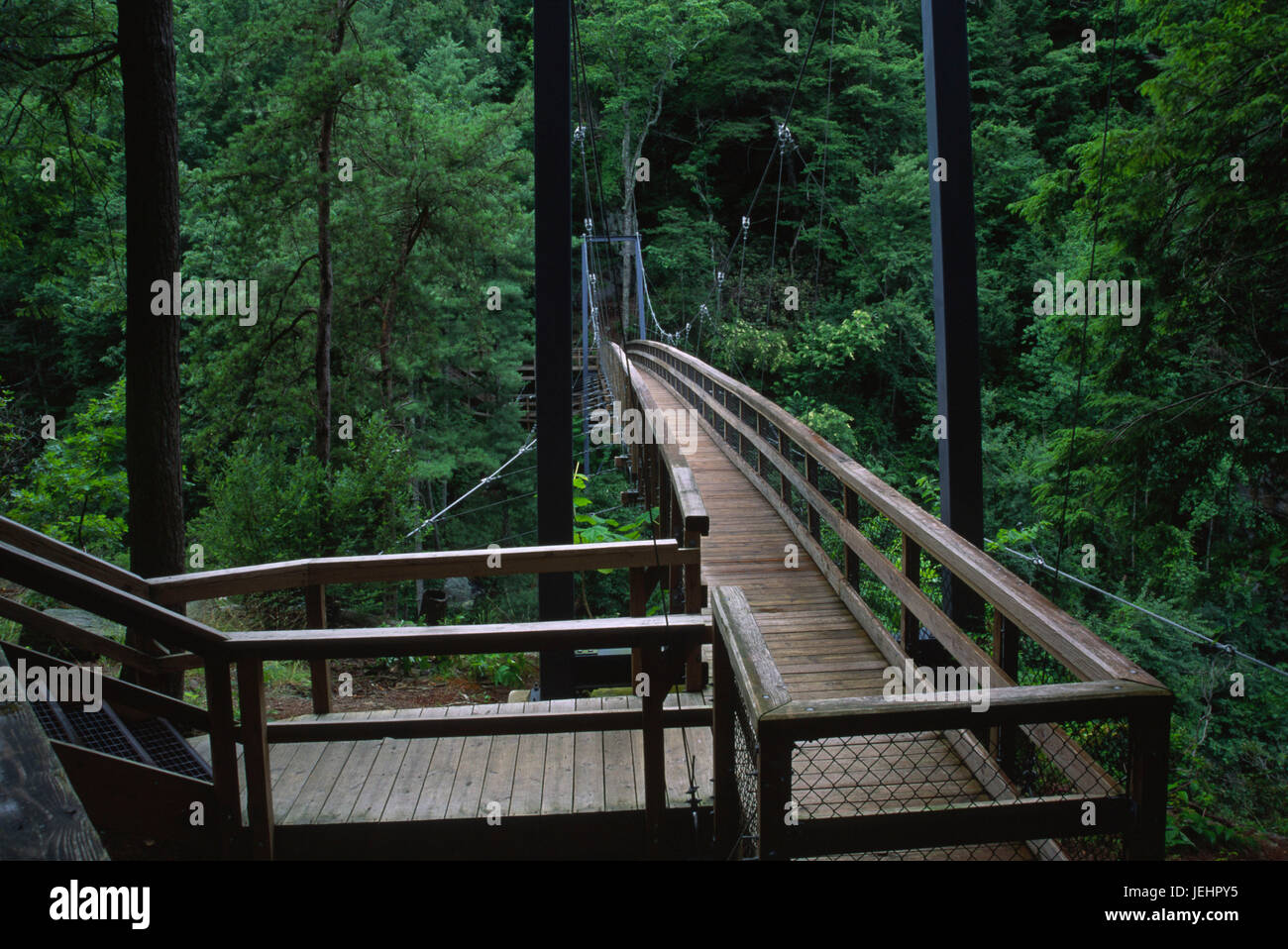 Pont suspendu, parc national des Gorges de Tallulah, Géorgie Banque D'Images