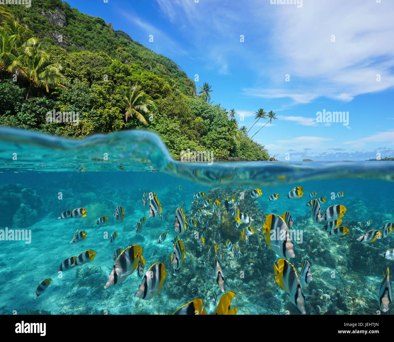 Sur et sous la mer près de la rive de la côte sauvage avec une école de poissons tropicaux sous l'eau, divisé par l'île de Huahine, l'océan Pacifique Banque D'Images