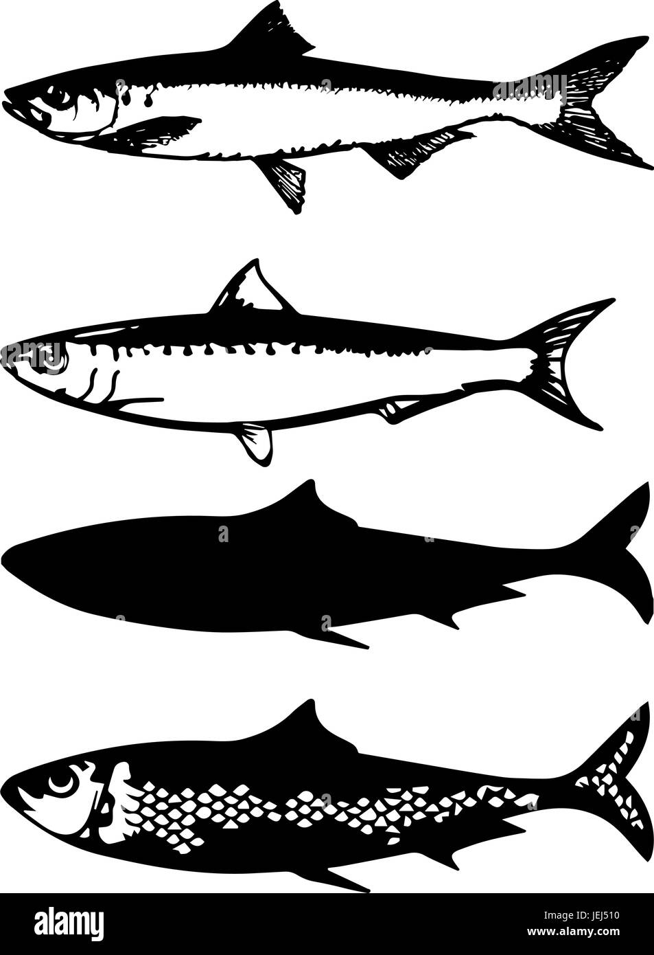 Vecteur de poissons sardines, noir et blanc, cut out Illustration de Vecteur
